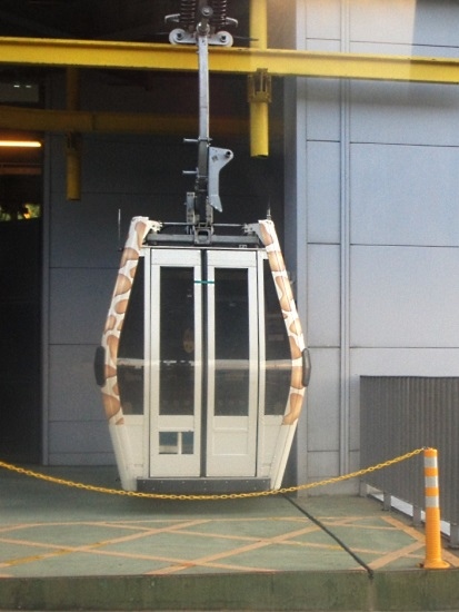 貓空纜車(1).jpg