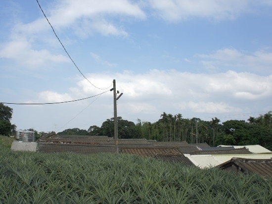 八卦山 樟普寮 藍氏古宅.jpg