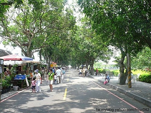 古坑 綠色隧道.jpg