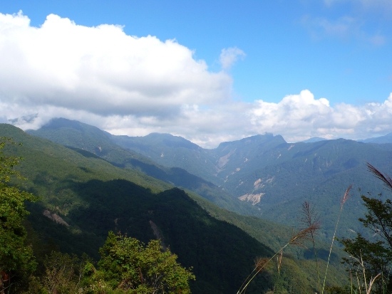 司馬限林道遠眺 觀霧群山.jpg