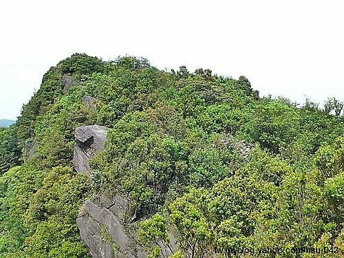 汐止 新山.jpg