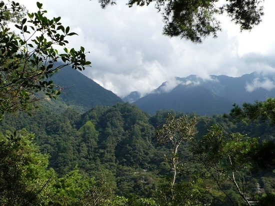 谷關 捎來步道(1).jpg