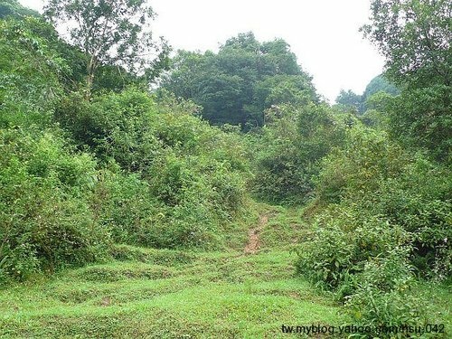 東勢格古道(1).jpg