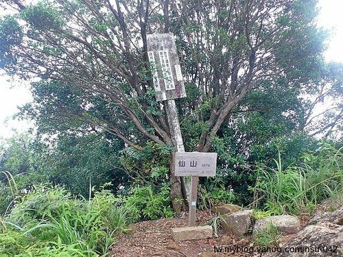 苗栗 仙山.jpg