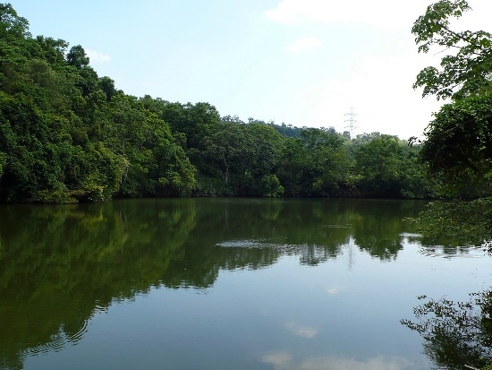 苗栗．大湖 淋漓坪 山塘窩(1).jpg