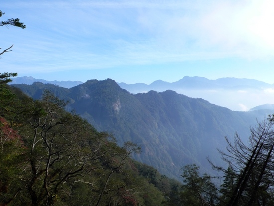 樂山林道望 榛山.jpg