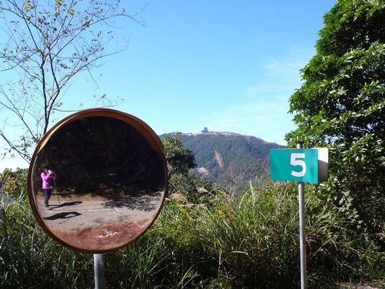 樂山林道望 樂山(鹿場大山).jpg