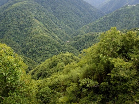 上巴陵 俯瞰 大漢橋.jpg