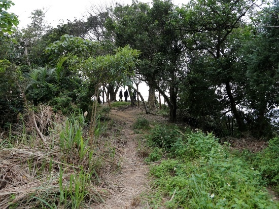 台北·信義區 四獸山 豹山頂.jpg