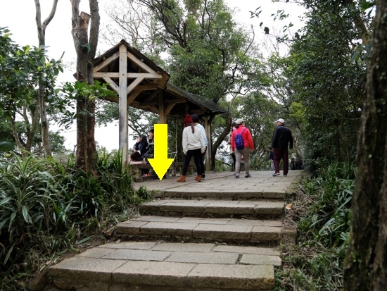 台北·信義區 四獸山 象山頂.jpg