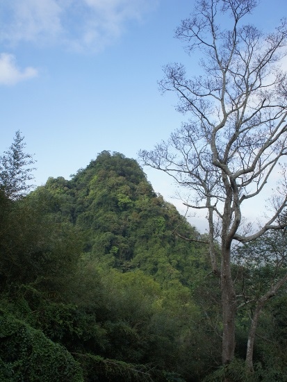 苗栗 大湖 金童山.jpg