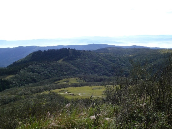 陽明山國家公園 擎天崗、石梯嶺(2).jpg