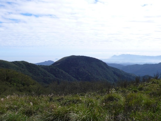 陽明山國家公園 擎天崗、石梯嶺(3).jpg