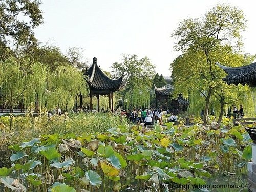 拙政園 荷風四面亭.jpg