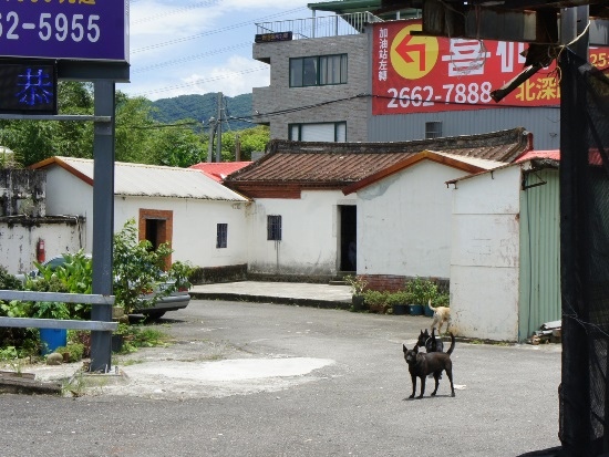 深坑 阿柔洋64號 林宅.jpg