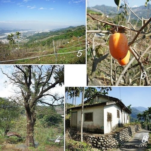 東勢 大茅埔山3.jpg