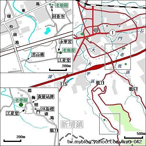 楊梅的老樹(二)5.jpg