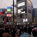 東京 澀谷的人潮