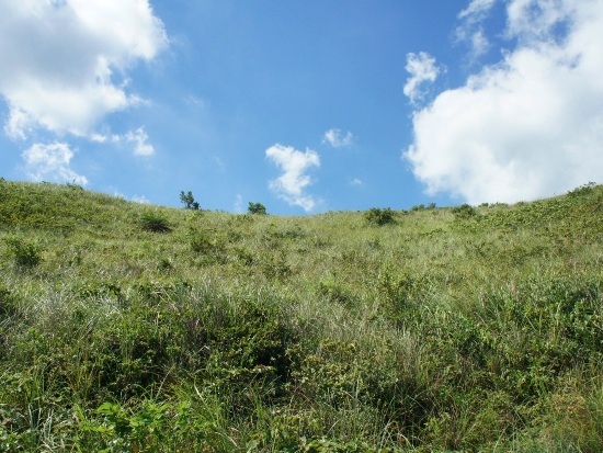 苗栗 通霄海邊淺山