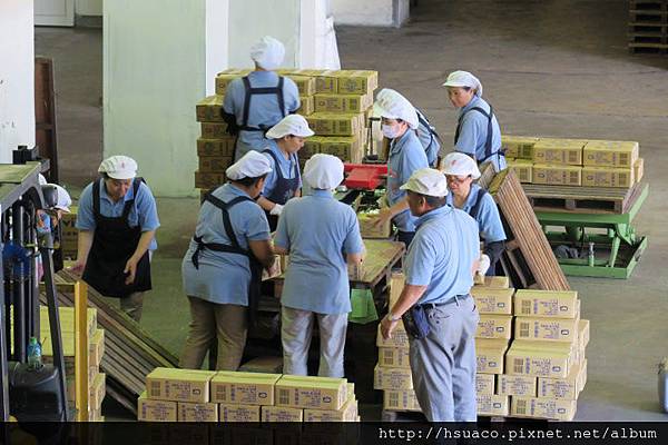 IMG_0464.JPG IMG_0464.JPG