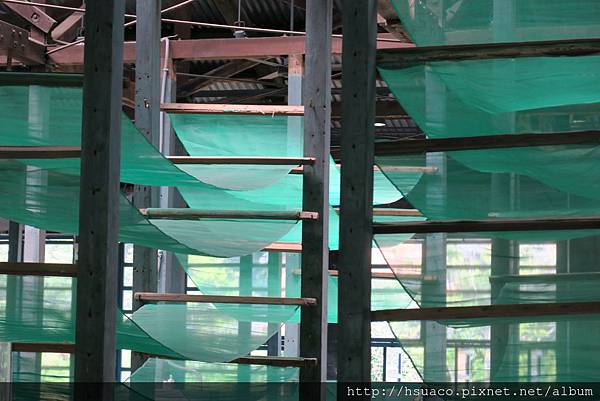 IMG_0520.JPG IMG_0520.JPG