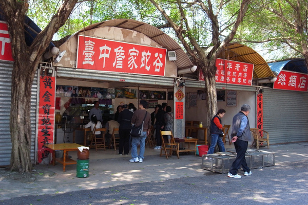 吃飯的餐廳對面是台中人開的蛇店