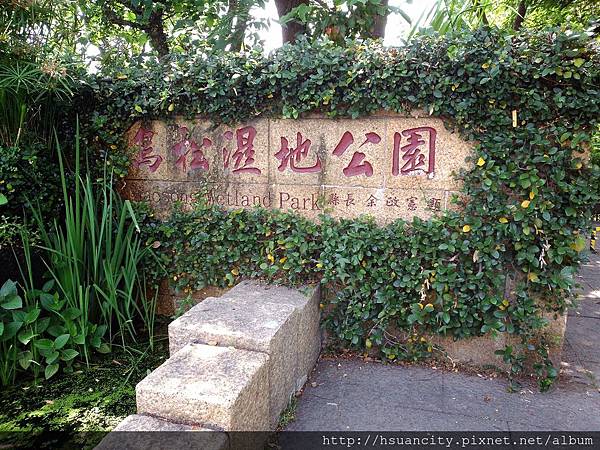 鳥松濕地公園1 鳥松濕地公園1