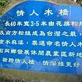 東豐綠廊情人橋