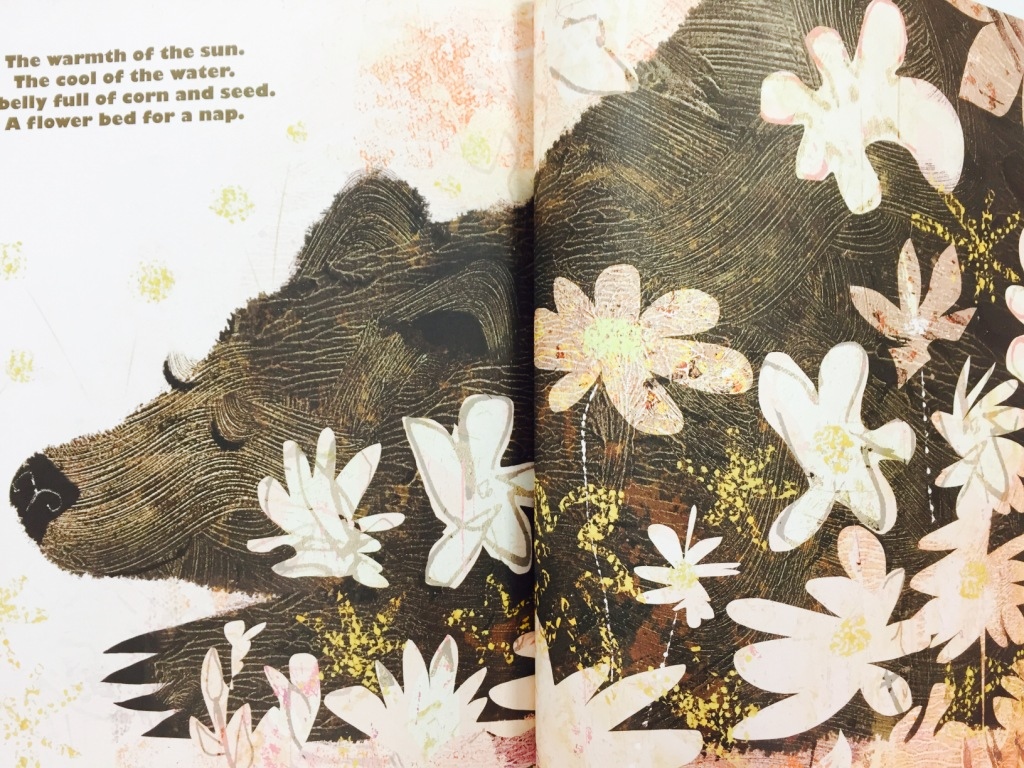 IMG_1781.JPG IMG_1781.JPG