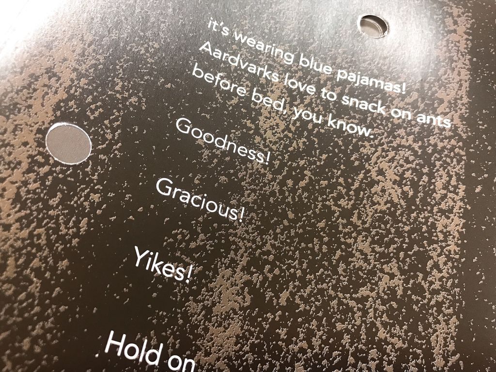 IMG_3565.JPG IMG_3565.JPG