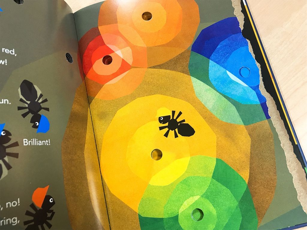 IMG_3568.JPG IMG_3568.JPG