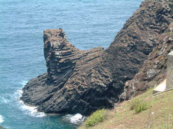 海豹or海獅?