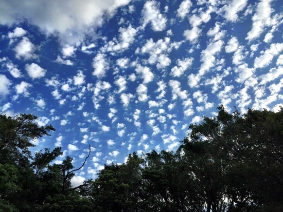 大武崙的雲 (3).jpg