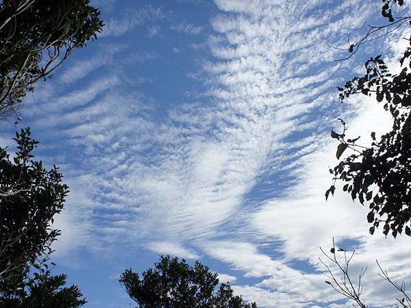 新店 獅仔頭山 雲