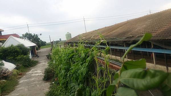 2018-06-23 18.05.16.jpg