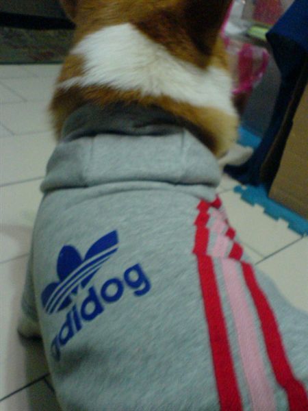 Adidog