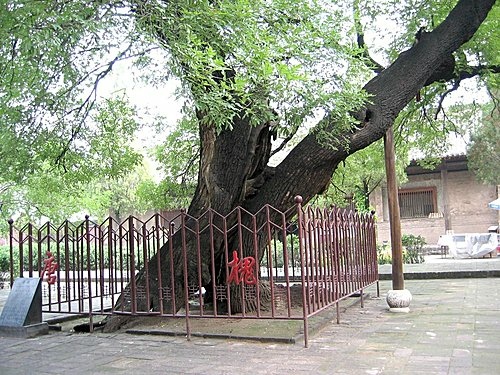 7 平遙古城：雙林寺：王家大院