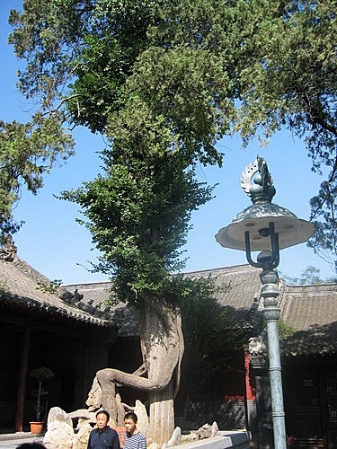 13 河南嵩山少林寺