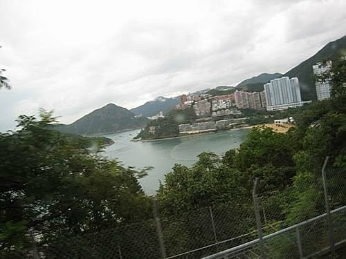 451816145_m[1].jpg