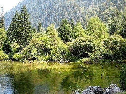 九寨溝 九寨溝
