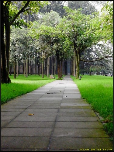 成都_3_四川博物館、三星堆