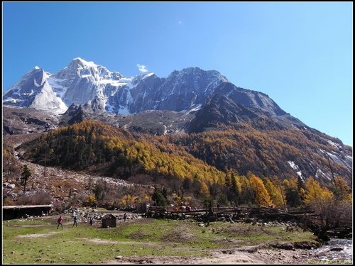 四姑娘山_長坪溝