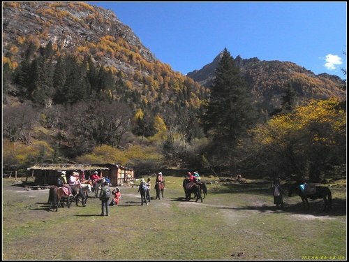 四姑娘山_長坪溝