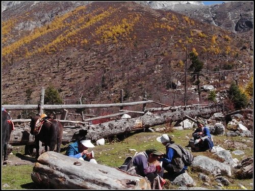 四姑娘山_長坪溝