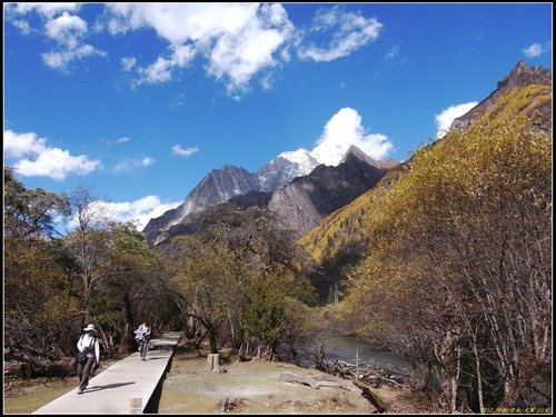 四姑娘山_長坪溝
