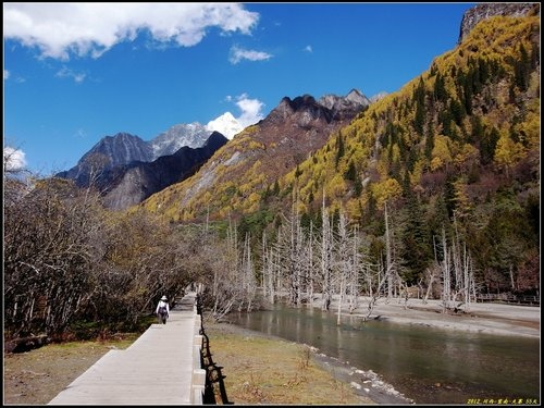四姑娘山_長坪溝