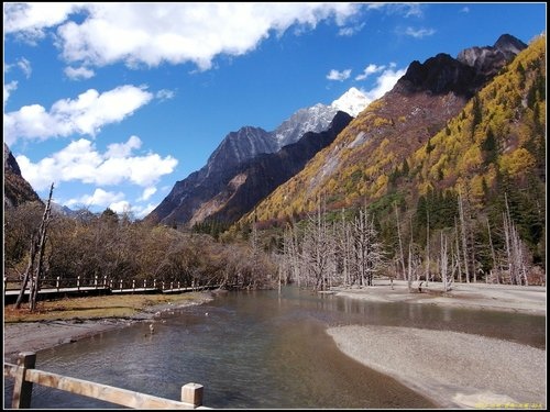 四姑娘山_長坪溝