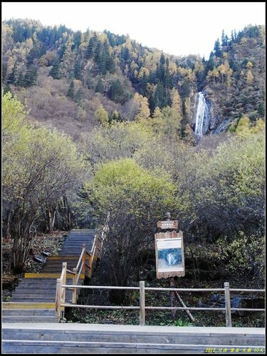 四姑娘山_長坪溝