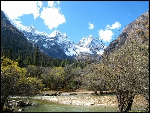 四姑娘山_長坪溝