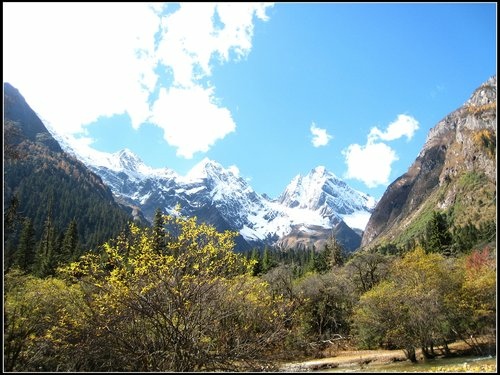 四姑娘山_長坪溝